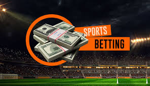 Experience the Thrill Vivi's platform is designed for smooth and exciting betting