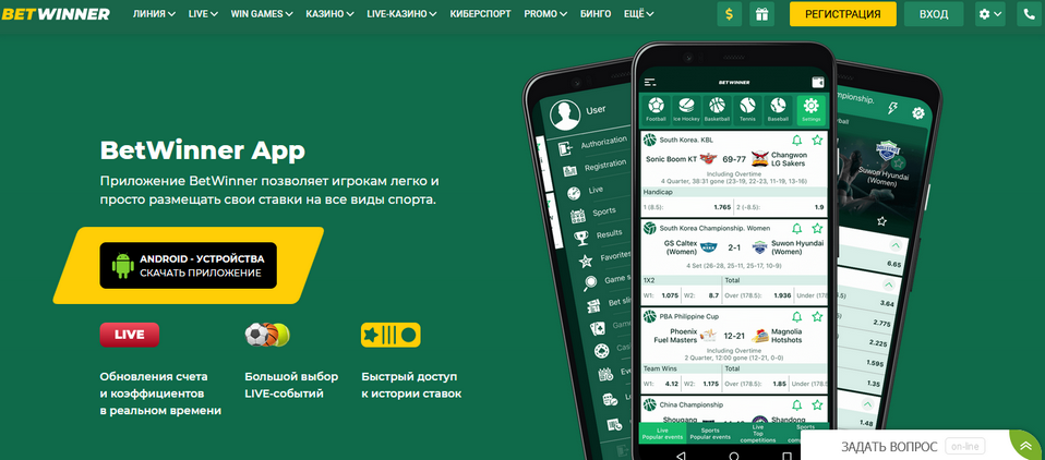 Reliable BetWinner Your Go-To Sports Betting Platform